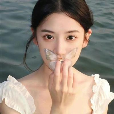 乱世书香